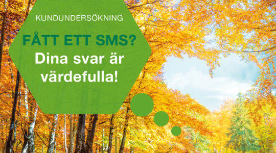 Kundundersökning via sms