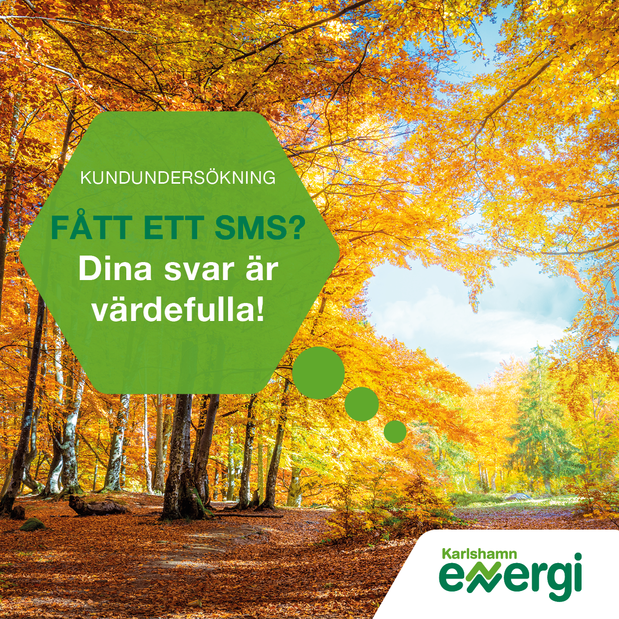 Kundundersökning via sms